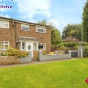 Pailin Drive 1